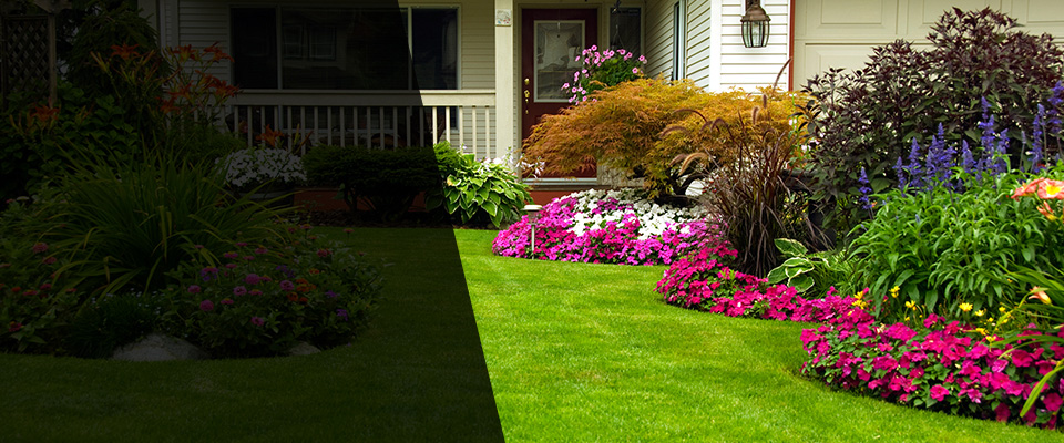 Plainfield Landscapers