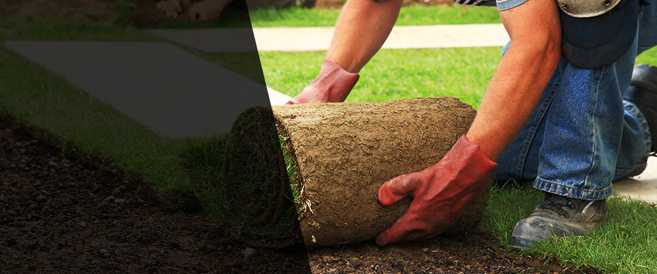 Plainfield Landscapers